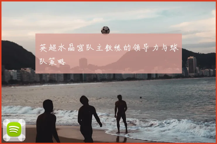 英超水晶宫队主教练的领导力与球队策略